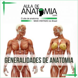 Generalidades de Anatomia