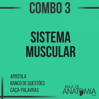 Combo 3 - Sistema Muscular