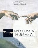 Anatomia Humana