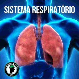 Sistema Respiratrio