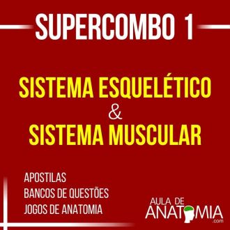 Supercombo 1 - Sistema Esqueltico & Sistema Muscular