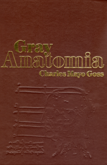Gray Anatomia - 29� Ed. - Capa do livro Gray Anatomia - Charles Mayo Goss