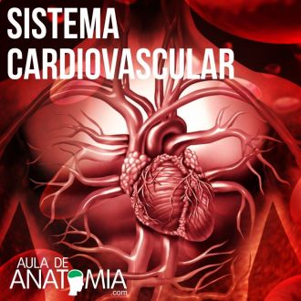 Sistema Cardiovascular