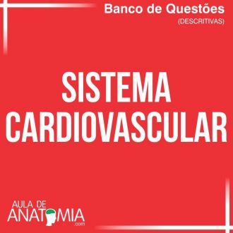 Sistema Cardiovascular