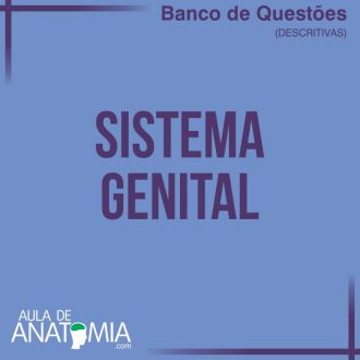 Sistema Genital