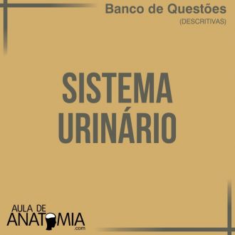 Sistema Urinario