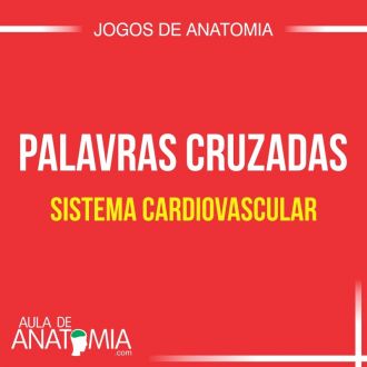 Sistema Cardiovascular