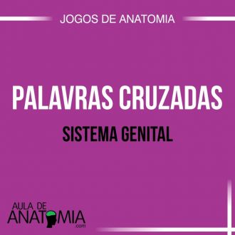 Sistema Genital