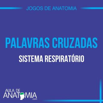 Sistema Respiratrio