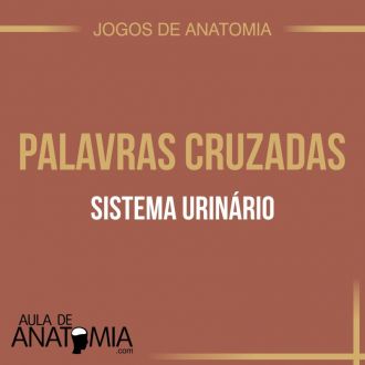 Sistema Urinrio