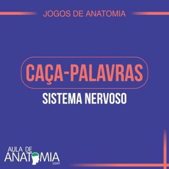 Sistema Nervoso