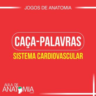 Sistema Cardiovascular