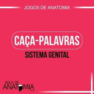 Sistema Genital