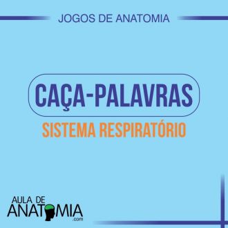 Sistema Respiratrio