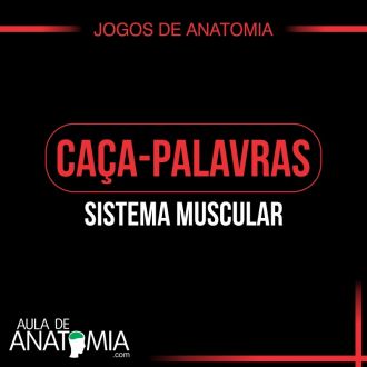 Sistema Muscular