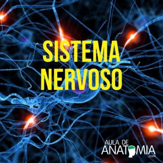 Sistema Nervoso