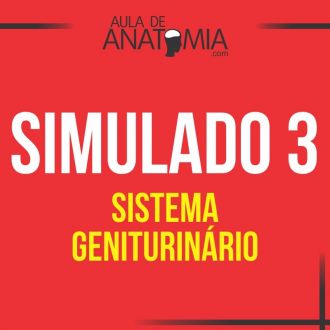 Simulado 3 - Sistema Geniturinario