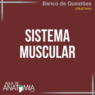 Sistema Muscular - Questões Objetivas