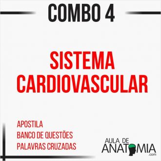 Combo 4 - Sistema Cardiovascular