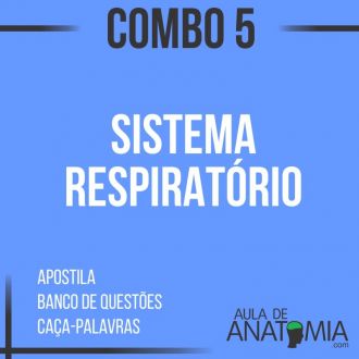 Combo 5 - Sistema Respiratrio